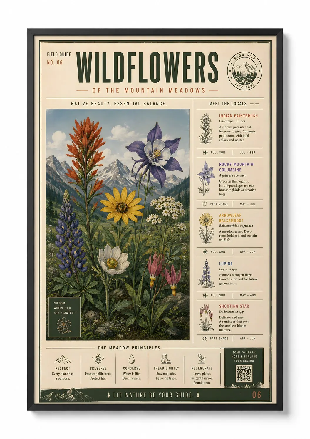 Wildflowers — Botanical Print